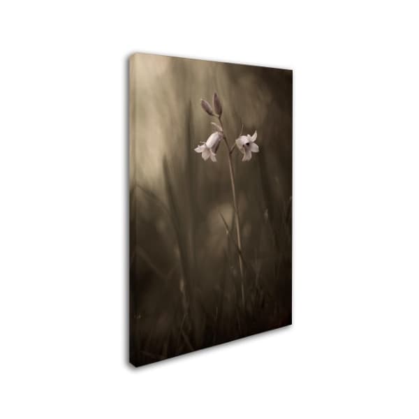 Allan Wallberg 'A Small Flower On The Ground' Canvas Art,12x19